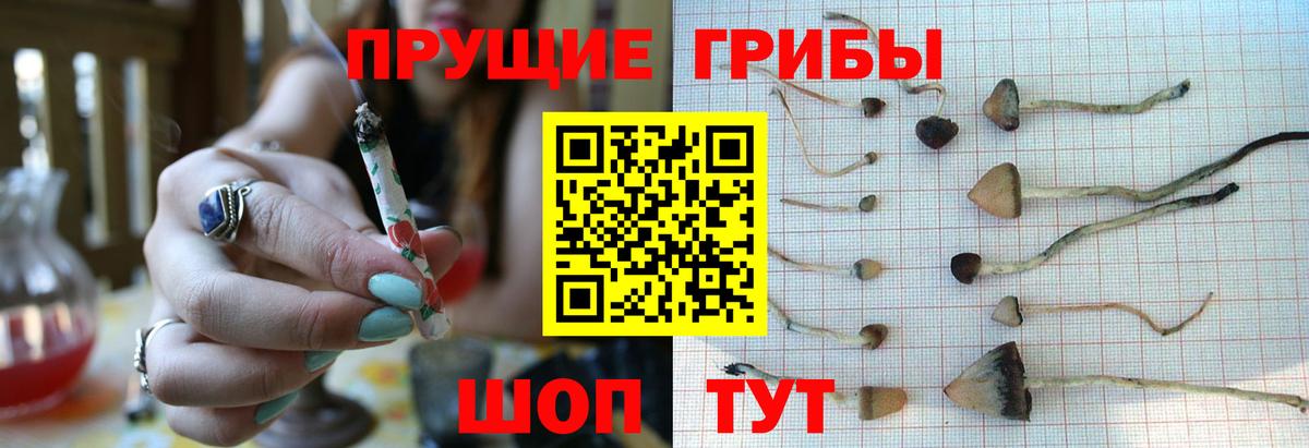 Галлюциногенные грибы мицелий  Вход с VPN  Красноярск 